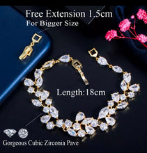 Load image into Gallery viewer, LAIANA